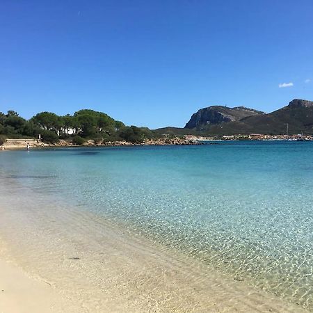 Tramontana Vista Mare 300M Dalla Spiaggia Golfo Aranci Bagian luar foto